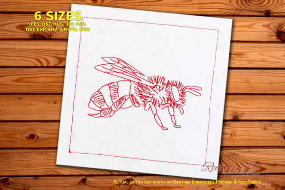 Close Up View of Honey Bee Review