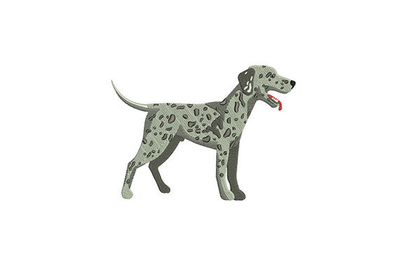 Dalmatian Embroidery Design Review
